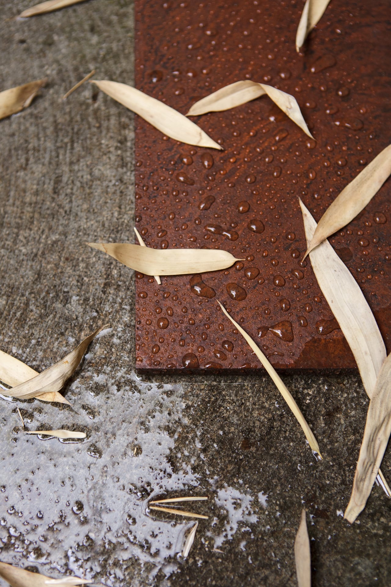 agapecasa-clizia-4360