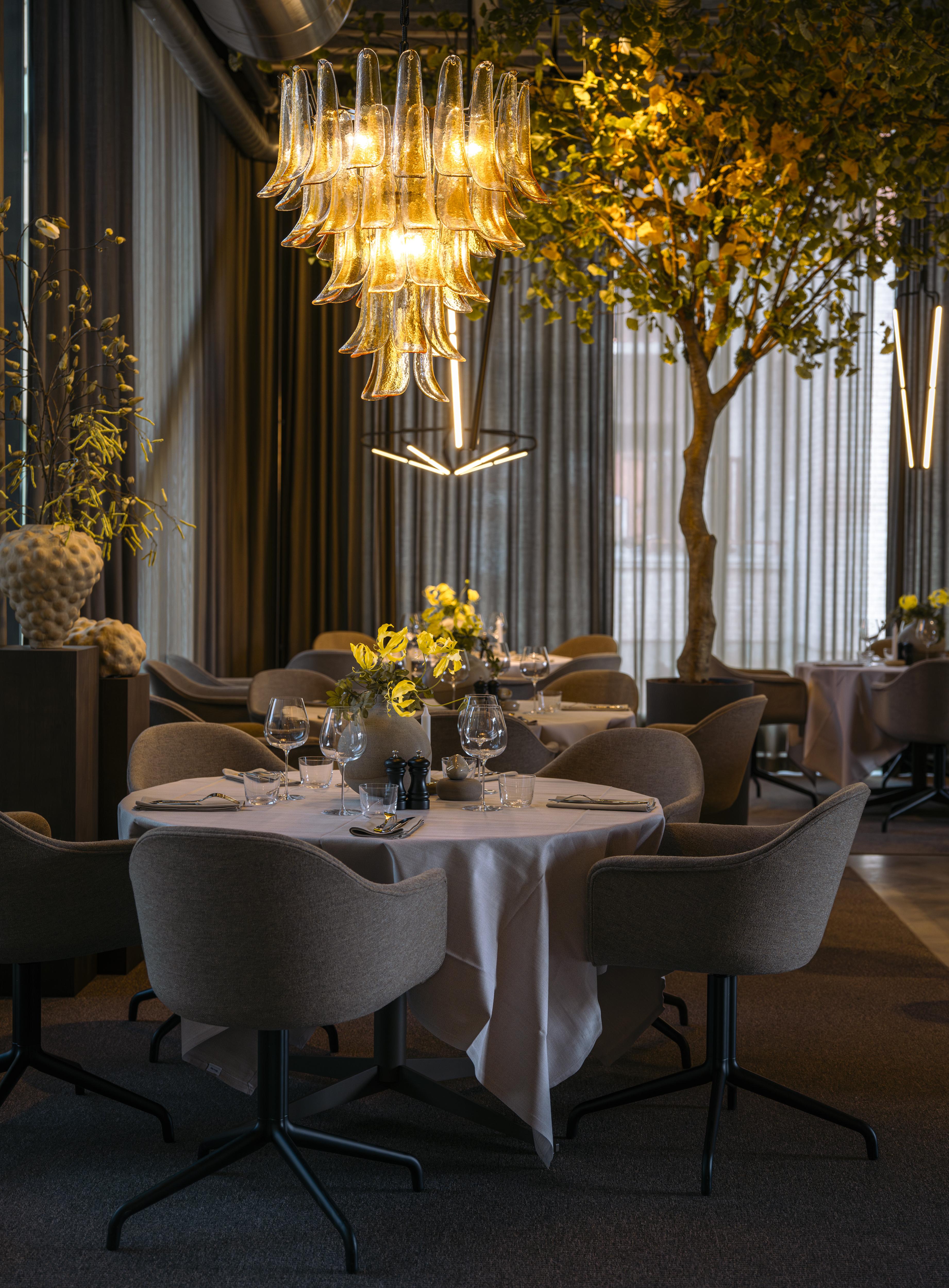 audo-harbour-dining-star