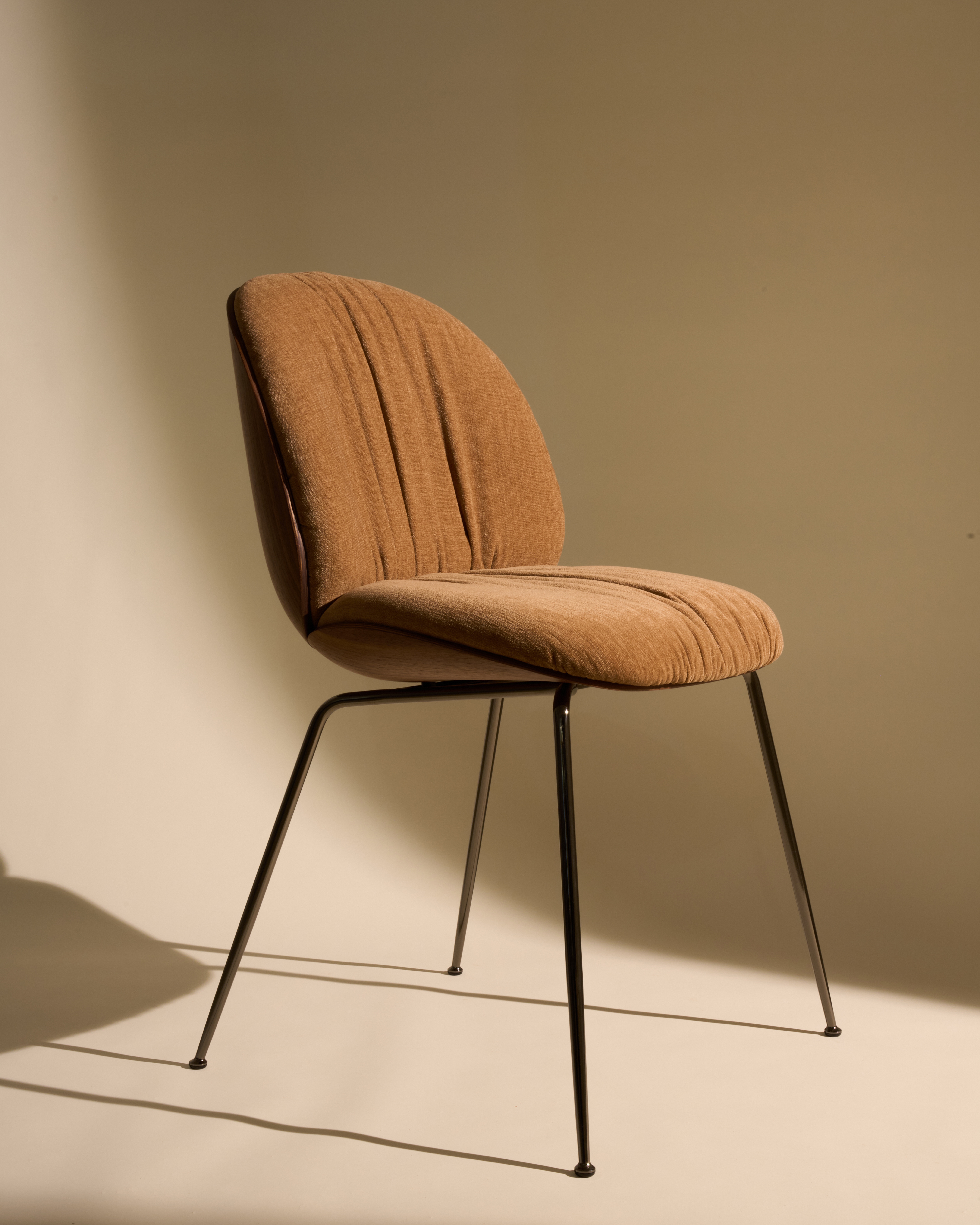 beetlesoft-fall25-14