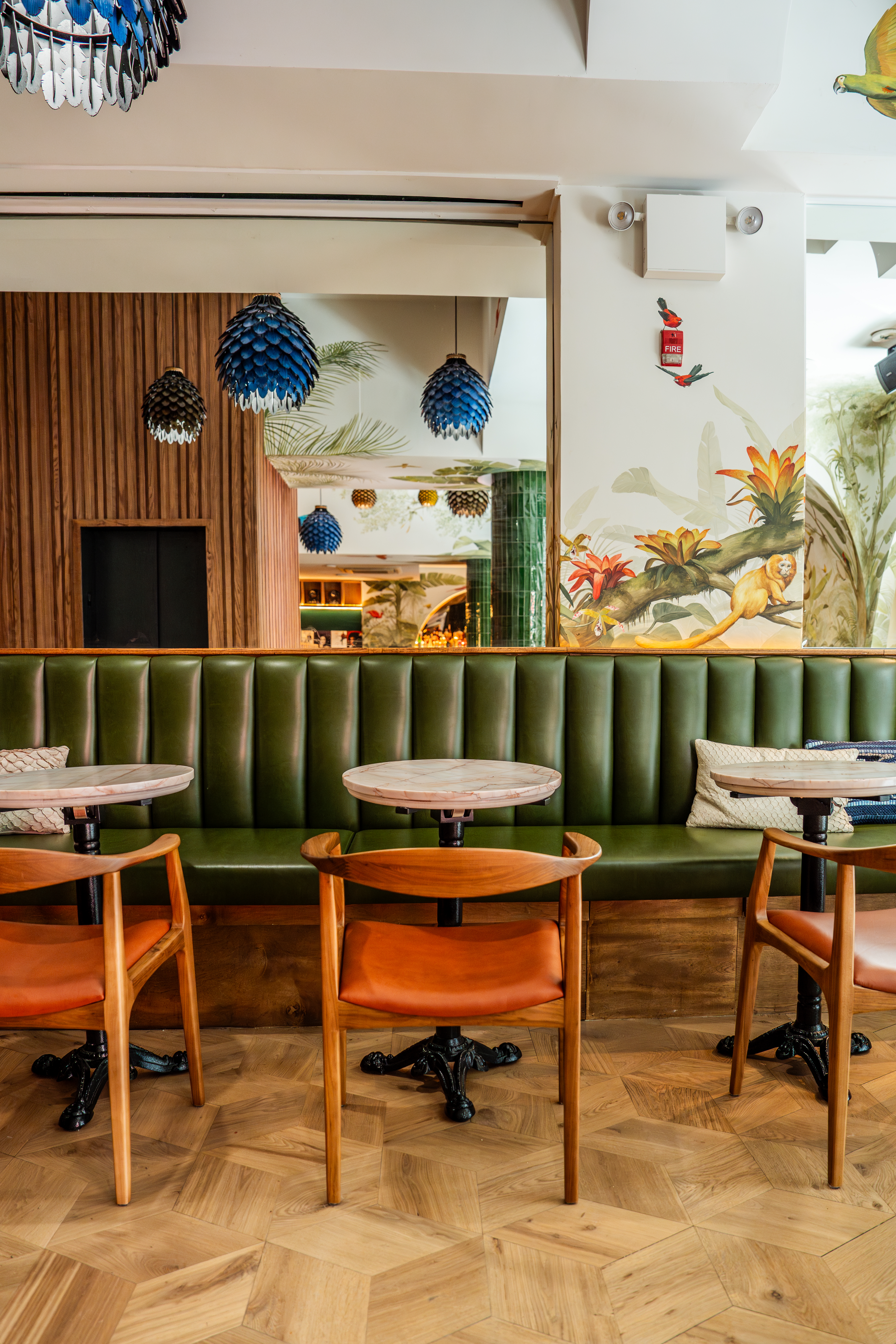 copy-of-dsc08594-enhanced-nr