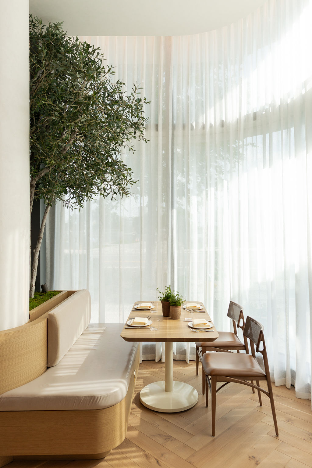 copy-of-predalina-67