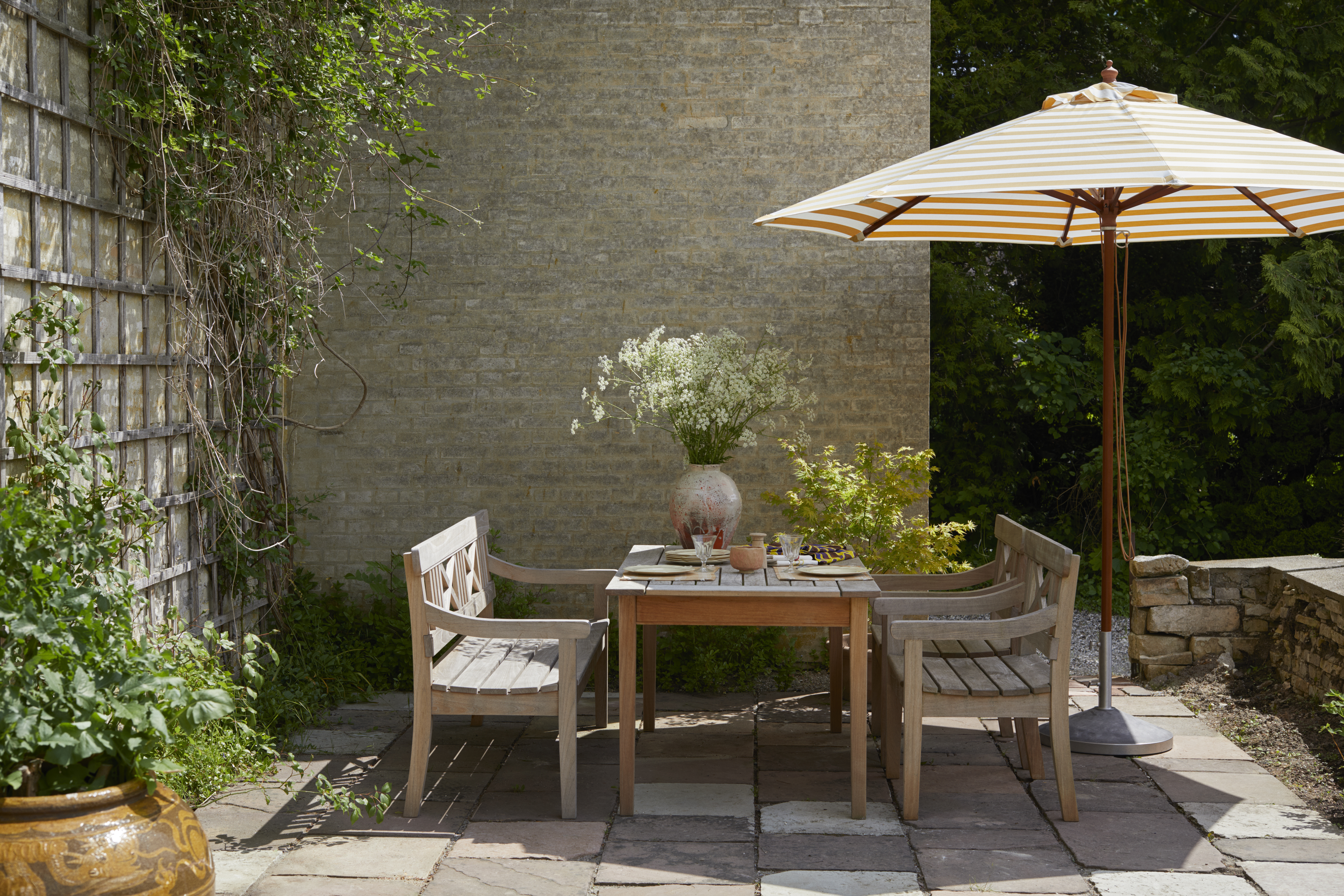 drachman-set-12-1755989726