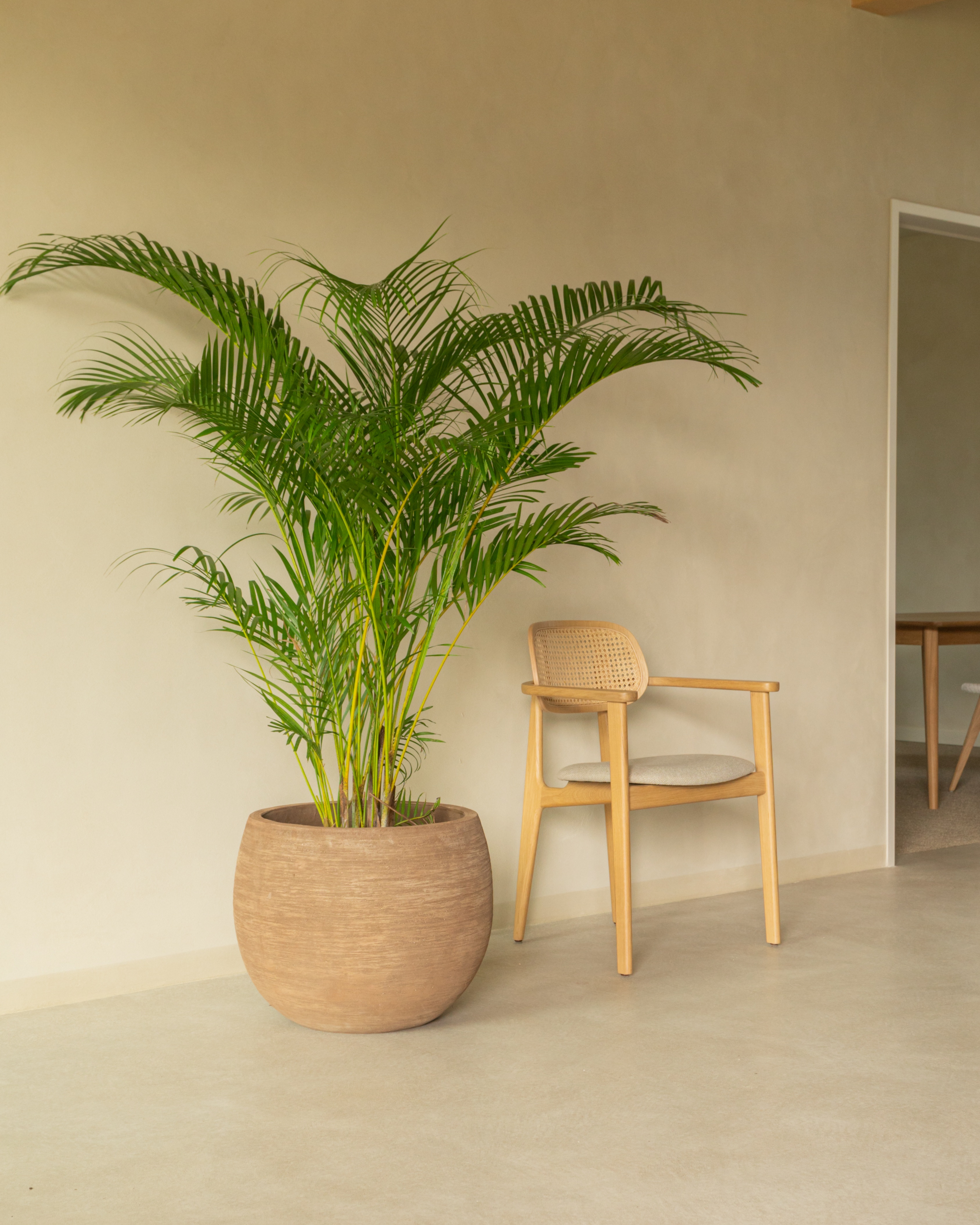 vincentsheppard-saya-round-large