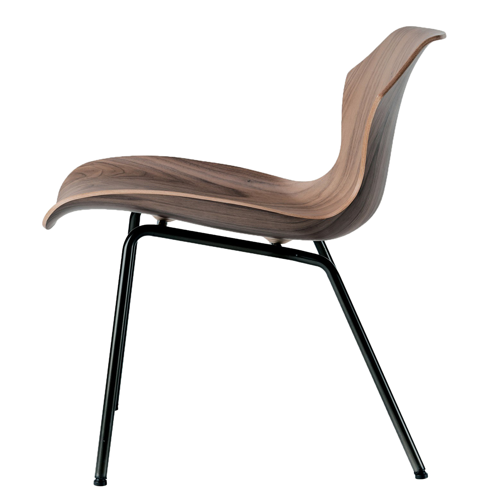 Petal Easy Chair